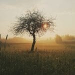 Zespół klasztorny w Görlitz – dawne centrum duchowości