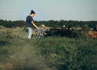 Rodzinne wakacje na wsi: jakie udogodnienia powinna mieć agroturystyka pod Kłodzkiem Mama z dzieckiem pasą kozy na zielonej łące na wsi pod Kłodzkiem
