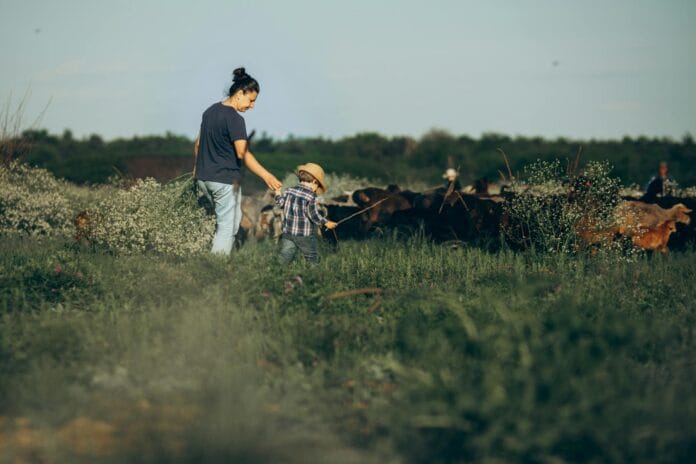 Mama z dzieckiem pasą kozy na zielonej łące na wsi pod Kłodzkiem Mama z dzieckiem pasą kozy na zielonej łące na wsi pod Kłodzkiem
